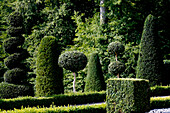 Landscaped garden. Saint-Sauveur-en-Puisaye. France.