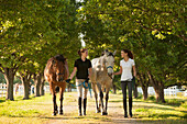 Caucasian girls walking horses on dirt path