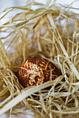 Dyed Egg in Nest