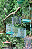 Colorful Birdcages Hanging in Tree
