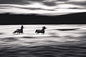 Blurred Galloping Horses