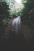 Road Through Forest, High Angle View, Gloucestershire, England, UK