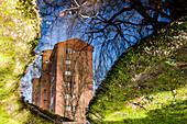 Building and Trees Reflected in Puddle