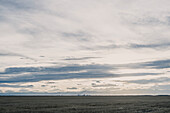 Field Landscape with Skyline in Background, Denver, Colorado, USA