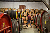 barrels, distillery in former monastery Wöltingerode, Lower Saxony, Germany