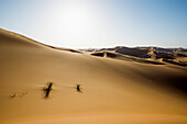 sand dunes, near Merzouga, Erg Chebbi, Sahara Desert, Morocco, Africa