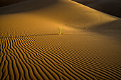 Sanddünen bei Merzouga, Erg Chebbi, Sahara, Marokko, Afrika