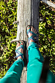 A woman walks on a log above the forest floor in her sandals.