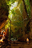 Woman exploring the djungle at Railay in Thailand