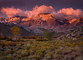 Vibrant light illuminates clouds moving over California's Eastern Sierra range at sunrise, complimented by Sage and Rabbitbrush in their fall colors.  Photographed from the Buttermilk Hills near Bishop.