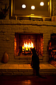 Cat sitting in front of fireplace