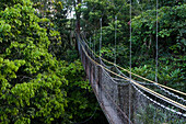 Canopy walkway at Atta Rainforest Lodge near Iwokrama, Guyana, South America