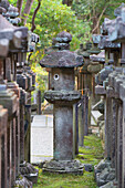 Stone lanterns at Kasuga Taisha Shrine at dusk, UNESCO World Heritage Site, Nara, Kansai, Japan, Asia