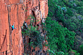 A climber on the sandstone cliffs of Waterval Boven, South Africa, Africa