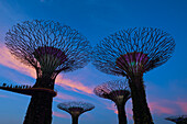 Gardens by the Bay at night, Singapore, Southeast Asia, Asia