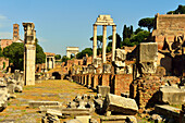 Roman Forum, UNESCO World Heritage Site, Rome, Lazio, Italy, Europe