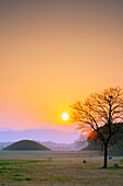 Royal Tombs burial mounds at sunrise, UNESCO World Heritage Site, Gyeongju, Gyeongsangbuk-do, South Korea, Asia