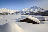 Some Spluga huts near the Maloja Pass submerged by meters of powder snow on a clear winter day, Graubunden, Swiss Alps, Switzerland, Europe