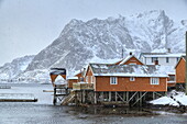 A violent and sudden snowstorm begins to fall in the Bay of Hamnoy famous for Rorbu cottages in the Lofoten Islands, Hamnoy, Lofoten Islands, Arctic, Norway, Scandinavia, Europe