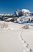 Snow shoe hiking is a great way of exploring the sunny Seiser Alm hiking paradise at Europe's largest high alp, South Tyrol, Italy, Europe