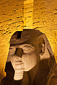 Statue in the ancient Egyptian Luxor Temple at night, Luxor, Thebes, UNESCO World Heritage Site, Egypt, North Africa, Africa