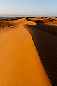 Wahiba Sands desert, Oman, Middle East