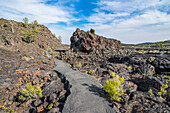 Walkway through cold lava in the Craters of the Moon National Park, Idaho, United States of America, North America