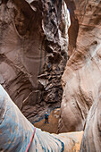 Man standing in a slot canyon after canyoneering, Moab, Utah, United States of America, North America