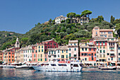 Excursion boat in the Harbour of Portofino, Riviera di Levante, Province of Genoa, Liguria, Italy, Europe