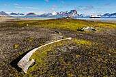 Whale remains in Gashamna (Goose Bay), Hornsund, Spitsbergen Island, Svalbard Archipelago, Norway, Scandinavia, Europe