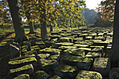 Large wrought stones recovered from the site of the Roman Bridge that spanned the River North Tyne dating from AD 13, Cilurnum (Chesters Roman Fort), Hadrian's Wall, UNESCO World Heritage Site, Chollerford, Northumbria National Park, England, United Kingd