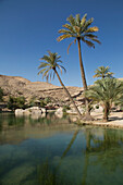 Wadi Bani Khalid, an oasis in the desert, Oman, Middle East