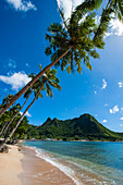 National Park of American Samoa, Tutuila Island, American Samoa, South Pacific, Pacific