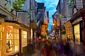 The Shambles at Christmas, York, Yorkshire, England, United Kingdom, Europe