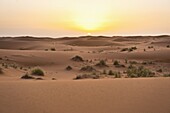 Erg Chebbi dunes at sunrise, Sahara Desert near Merzouga, Morocco, North Africa, Africa
