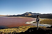 Laguna Colorada, a shallow red salt lake in South West Bolivia, South America