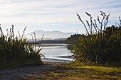 Okarito Lagoon at sunrise, West Coast, South Island, New Zealand, Pacific
