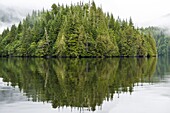 Coastal scenery in Great Bear Rainforest, British Columbia, Canada, North America