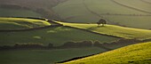 Rolling countryside near Oare, Exmoor National Park, Somerset, England, United Kingdom, Europe