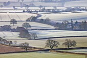 Frosted winter fields near Shobrooke, Devon, England, United Kingdom, Europe