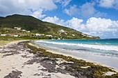 Turtle Beach, St. Kitts, St. Kitts and Nevis, Leeward Islands, West Indies, Caribbean, Central America