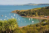 Sailing boats on Waiheke Island, Auckland, North Island, New Zealand, Pacific