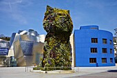 Guggenheim Museum, Bilbao, Euskadi, Spain, Europe