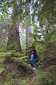 Hiking in Naikoon Provincial Park, Haida Gwaii (Queen Charlotte Islands), British Columbia, Canada, North America