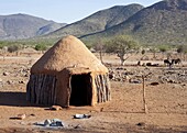 Traditional mud-covered dwelling in a Himba village in the Kunene Region, formerly Kaokoland, in the far north of Namibia, Africa