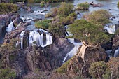 Epupa Falls on the Kunene River (which forms the border between Namibia and Angola), Kunene Region (formerly Kaokoland), Namibia, Africa