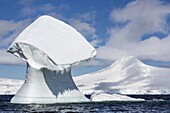Huge mushroom shaped iceberg in Dorian Bay, western side of the Antarctic Peninsula, Southern Ocean, Polar Regions