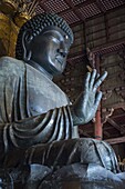 Big Buddha statue, Daibutsuden (Big Buddha Hall), Todaiji Temple, UNESCO World Heritage Site, Nara, Kansai, Japan, Asia