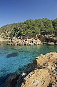 Clear turquoise waters of Cala Xucla, near Portinatx, Ibiza, Balearic Islands, Spain, Mediterranean, Europe