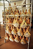 Parma hams on curing racks, near Pavullo, Emilia-Romagna, Italy, Europe